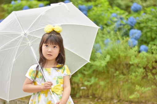 雨の日